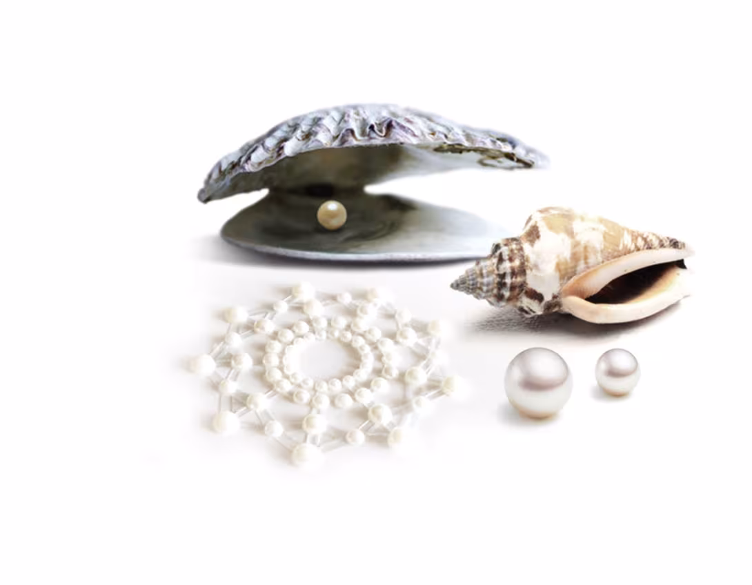Пестіс з кристалів Bijoux Indiscrets - Mimi Pearl, прикраса на груди — фото 2