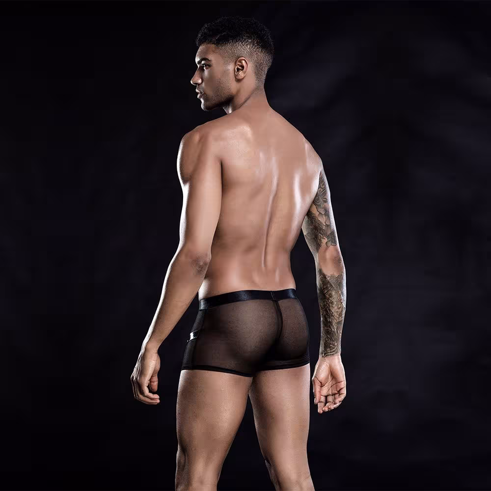 Чоловічі еротичні сітчасті труси з ременями, One Size Black — фото 2
