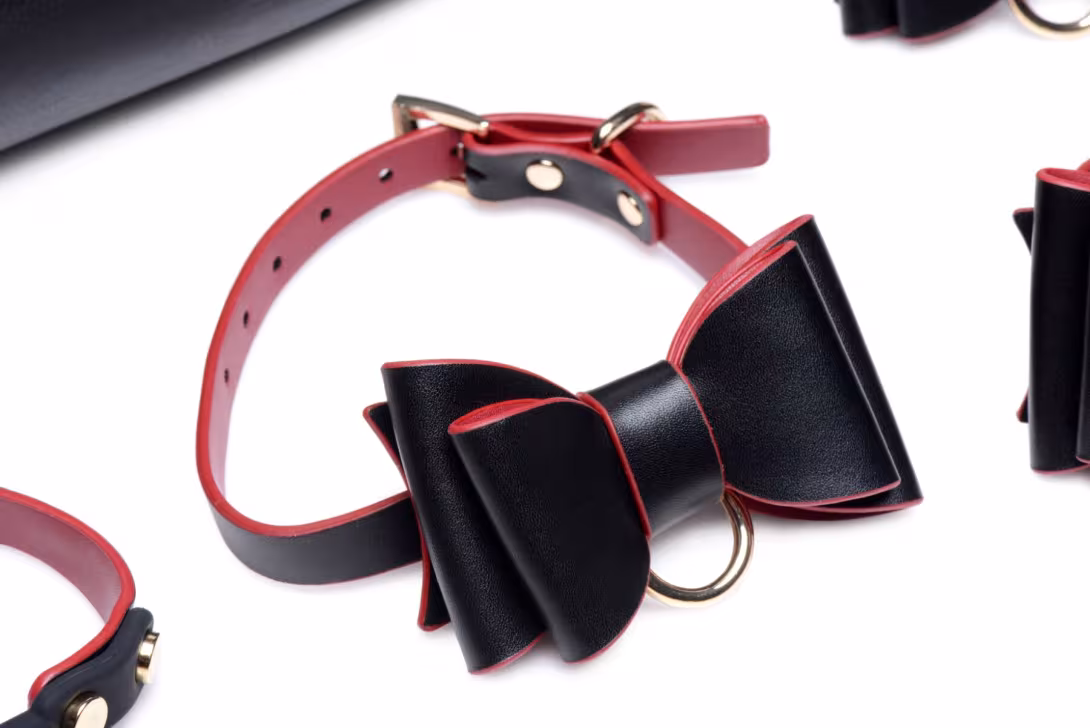 Набір БДСМ з дорожньою сумкою Master Series: Bow — Luxury BDSM Set With Travel Bag, 11 предметів — фото 7