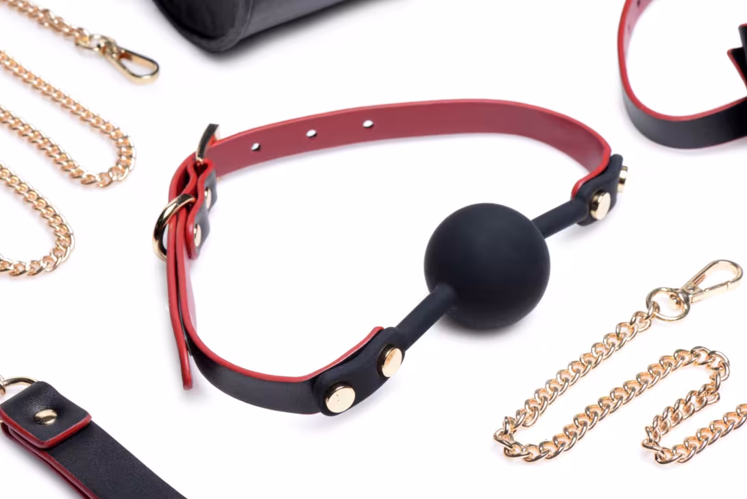 Набір БДСМ з дорожньою сумкою Master Series: Bow — Luxury BDSM Set With Travel Bag, 11 предметів — фото 3