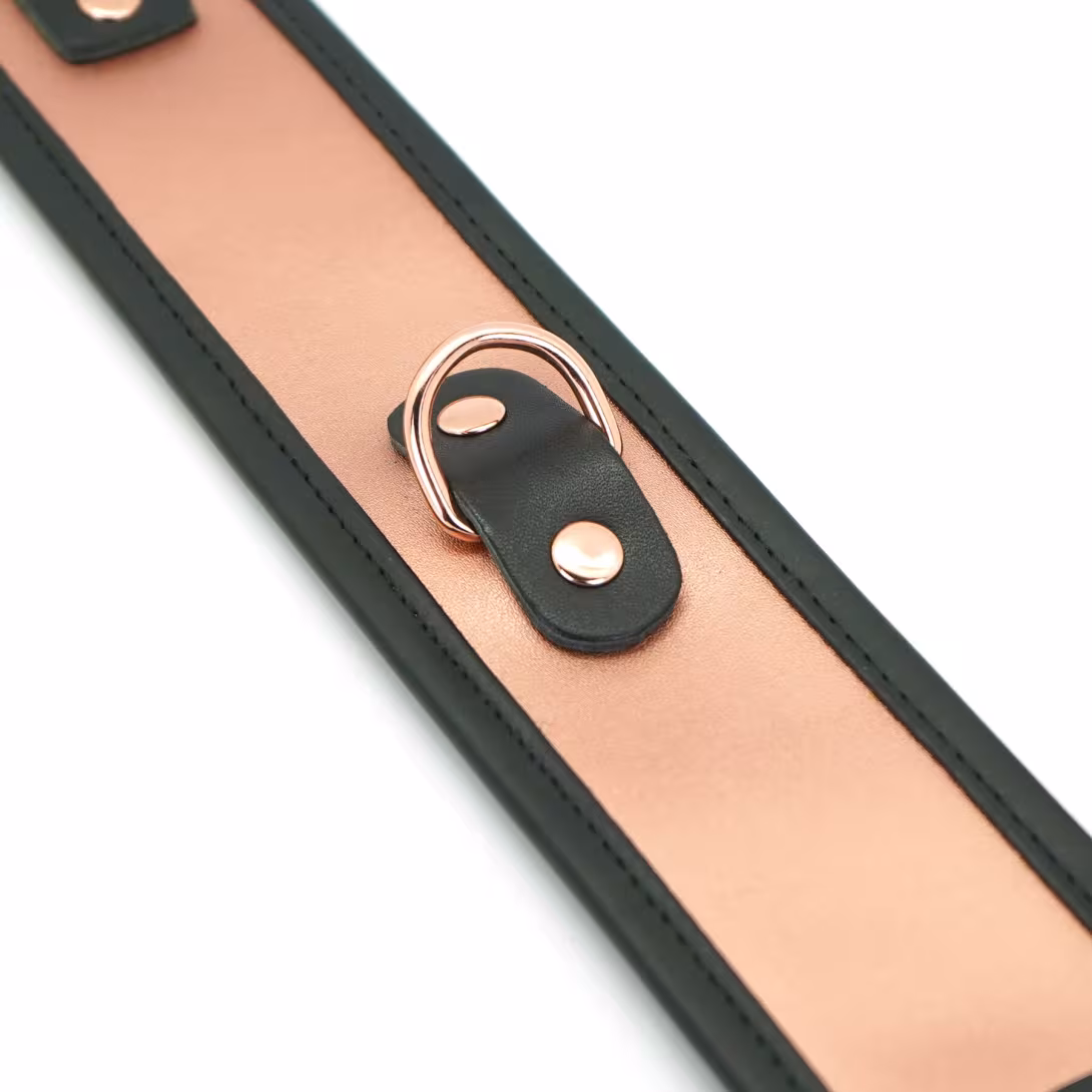 Широкий нашийник з повідцем Liebe Seele Rose Gold Memory Collar with Leash, натуральна шкіра — фото 7